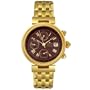 Jacques Lemans Men's 861X Classic Collection Gold-Plated Watch
