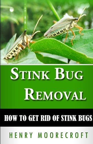 stink bug removal how to get rid of stink bugs