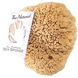 The Natural Sea Sponge, 8 to 9-Inch, Yellow