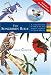 The Songbirds Bible: A Visual Directory of 100 of the Most Popular Songbirds in North America