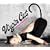 Virgin Cat(������萶�Y��)