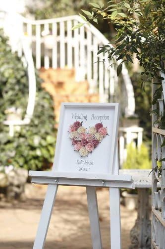 Sansei Princess welcome board MX kit (japan import)