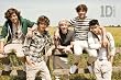 Music - Pop Posters: One Direction - Summer - 23.8x35.7 inches