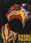 Energy primer, solar, water, wind, and biofuels