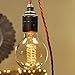 Parrot Uncle Vintage Edison Light Bulb 40w 110v Antique E26 Base Twisted Clear Glass Base Tungsten Filament Tube Incandescent Bulbs Home Decor Lighting, G80 Spiral Filament 40w