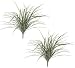 TWO 36" Artificial Long Grass Bushes