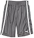 PUMA Little Boys' Mesh Short