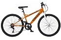 Elswick Jugend Fahrrad Mountainbike Blackcreek 18 Gang, Orange, Rahmenh&ouml;he: 14 Zoll, Reifengr&ouml;&szlig;e: 24 Zoll (61 cm), 2438W24