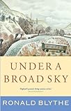 Under a broad sky