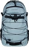 FORVERT Rucksack LAPTOP LOUIS, grey, 55 x 40 x 20 cm