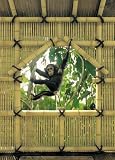 Brewster Wallcovering for National Geographic 4-505 Treehouse 4 panel mural with paste 6' 4