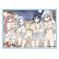 きゃらスリーブコレクションデラックス 「咲-Saki- 全国編 Part.2」(No.DX006)