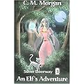 An Elf's Adventure (Silver Doorway) (Paperback)