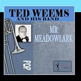 Mr. Meadowlark