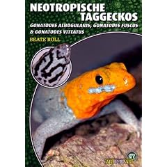 Neotropische Taggeckos: Gonatodes albogularis, Gonatodes fuscus & Gonatodes vittatus
