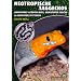 Neotropische Taggeckos: Gonatodes albogularis, Gonatodes fuscus & Gonatodes vittatus