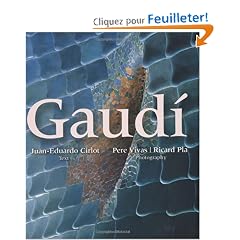 Gaudi