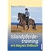 Islandpferdetraining mit Magnus Skulason