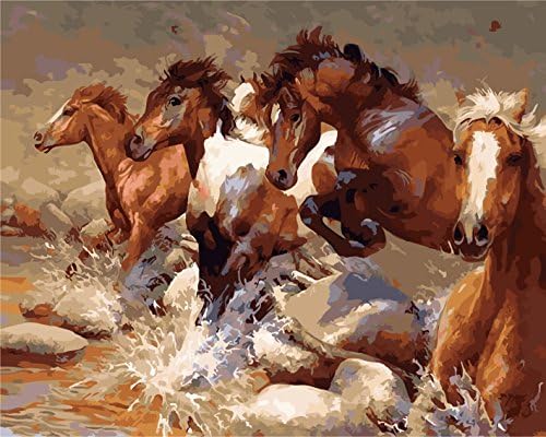 Oil Painting by Number Kits, DIY oil Paint by Number on Canvas Running Horses in Stream(16x20inch, Unframe)