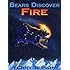 Bears Discover Fire and Other Stories