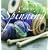 Creative Spinning (Gaia Traditional Crafts)