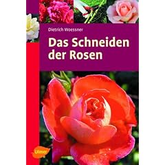 Das Schneiden der Rosen