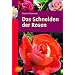 Das Schneiden der Rosen
