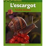 Détails sur le produit