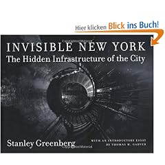 Invisible New York: The Hidden Infrastructure of the City: The Hidden Infastructure of the City (Creating the North American Landscape)