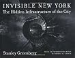 Invisible New York: The Hidden Infrastructure of the City (Creating the North American Landscape)