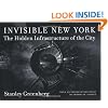 Invisible New York: The Hidden Infrastructure of the City (Creating the North American Landscape)
