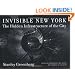 Invisible New York: The Hidden Infrastructure of the City (Creating the North American Landscape)