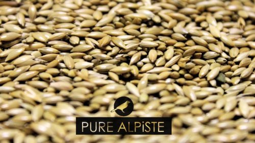 Alpiste Canary Seed 5 Lbs