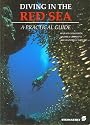 Diving in the Red Sea - A Practical Guide