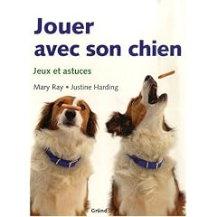 Jouer avec son chien : Jeux et astuces