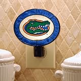 Florida Gators Memory Company Art Glass Night Light NCAA College Athletics Fan Shop Sports Team Merchandise