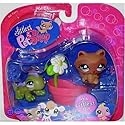 Littlest Pet Shop Littlest Exclusive Pet Pairs - Iguana #712 and Raccoon #713