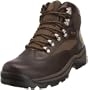 Timberland Men's 15130 Chocurua Trail GTX Boot,Brown/Brown,8.5 M