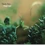 Katy Lied