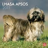 \"Lhasa