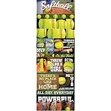 Reminisce Real Sports Softball Graphic Sticker Sheet