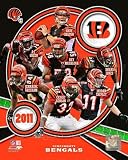 Cincinnati Bengals 2011 Team Composite Poster (8.00 x 10.00)
