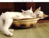 ねこ鍋―みちのく猫ものがたり 画像