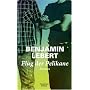 Der Flug der Pelikane