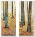 Tranquil Forest Set by Jill Barton 38"x16.5" Art Print Poster