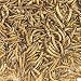 Redi-Meal<sup><font size=-2>TM</font></sup> Mealworms 2,000 count