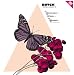 Produkt-Bild: Amelie (Format:B Remix)