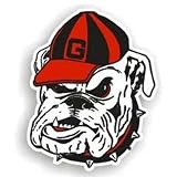 Georgia Bulldogs NCAA 12" Car Magnet