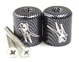 1999-2008 SUZUKI HAYABUSA ENGRAVED CARBON BAR ENDS