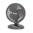Lil' Blizzard 7" Two-Speed Oscillating Personal Table Fan, Plastic, Black